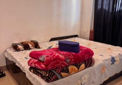 IMG-20260417-WA0007-1